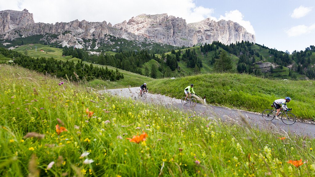Tour guidato in bici - Passo delle Erbe