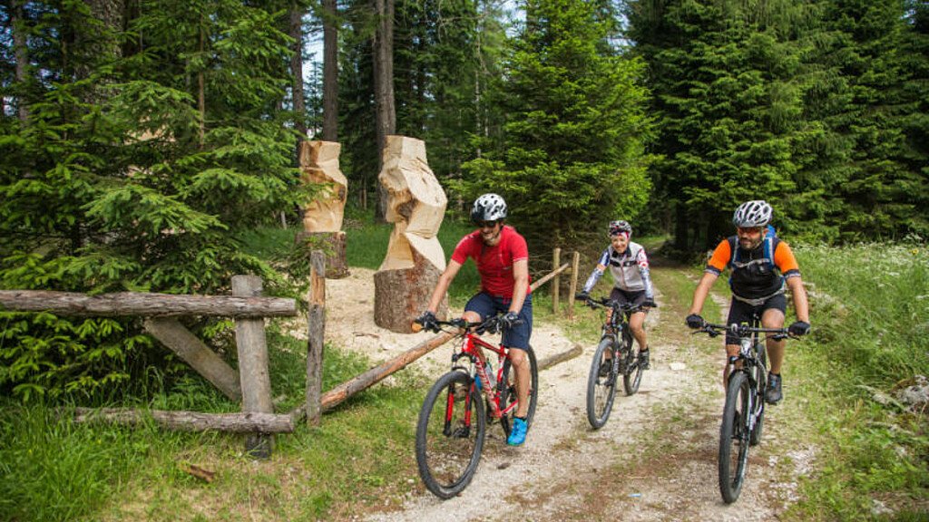 Lusérn – Virgo Maria – Millegrobbe: giro in MTB