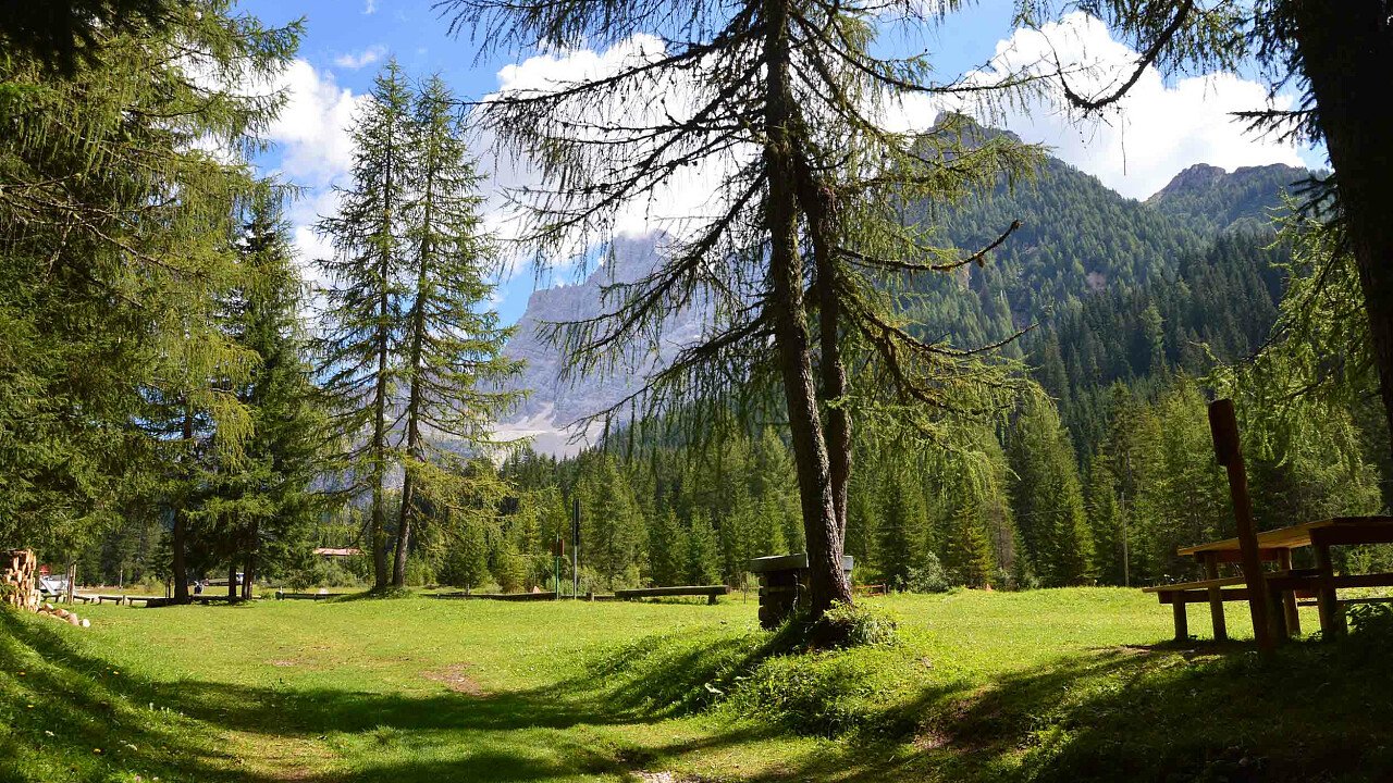 I boschi a Selva di Cadore nelle Dolomiti UNESCO del Bellunese
