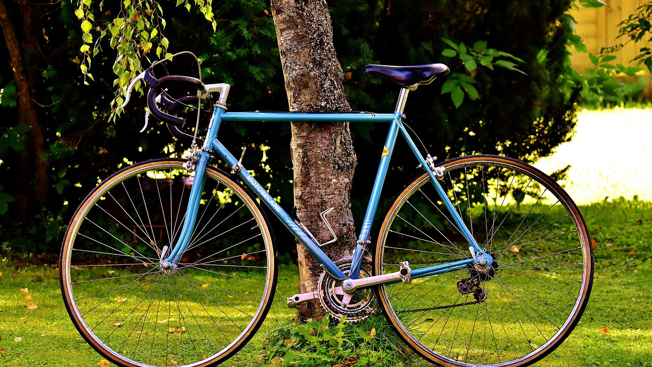 Bici appoggiata su un albero