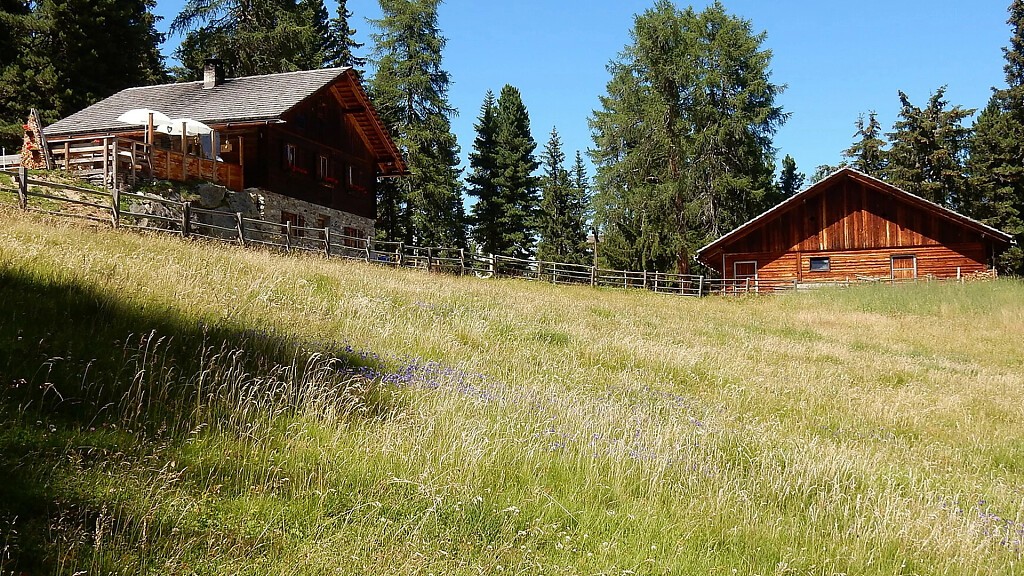 Giro circolare al Lé de Munt da Rina e Monte Muro