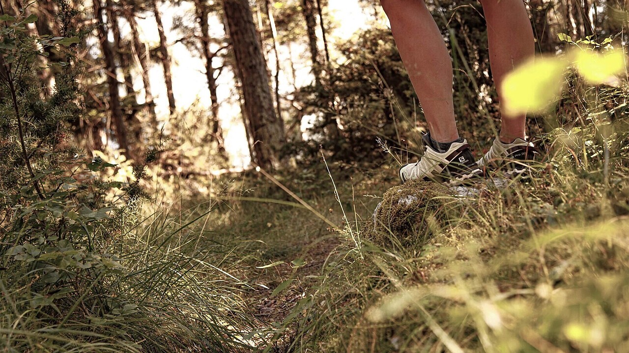 Wanderweg "Rittersteig" - Naturns