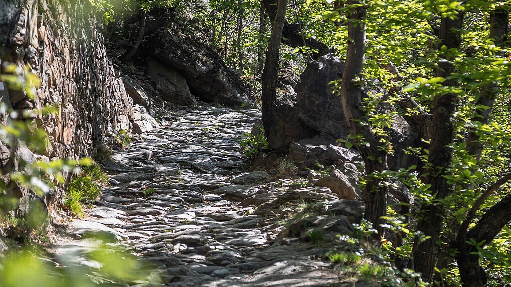 Sentiero didattico - naturalistico Gsindboden