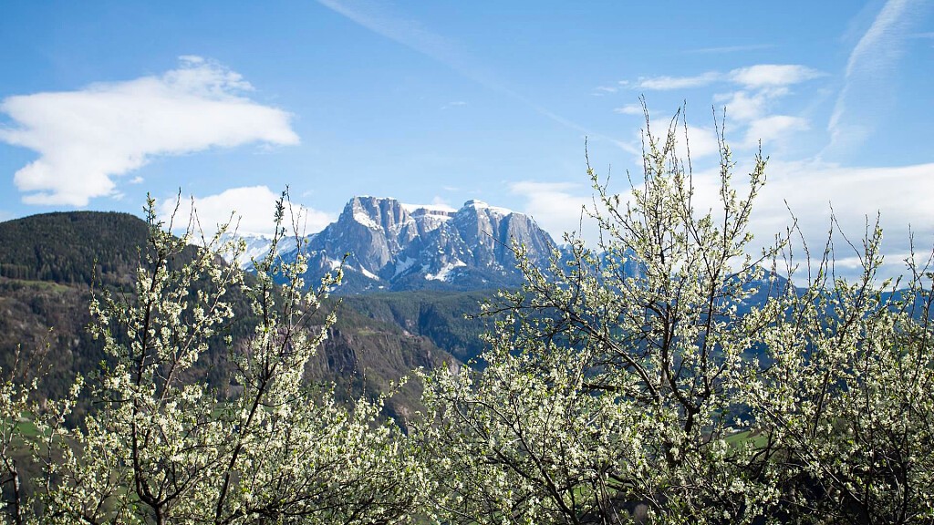 Sentiero delle Prugne a Barbiano