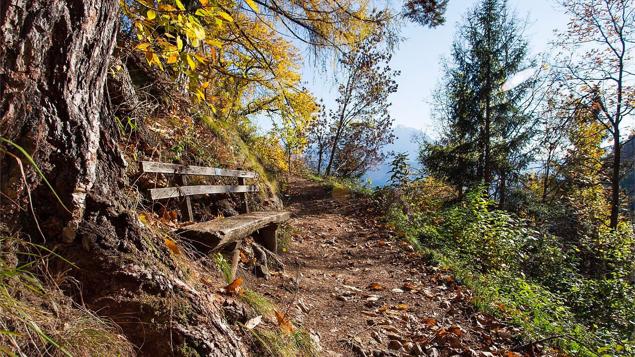 Escursione Törggelen Barbiano