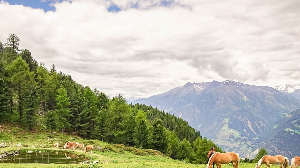 Rio Lagundo - Malga di Naturno - Monte San Vigilio