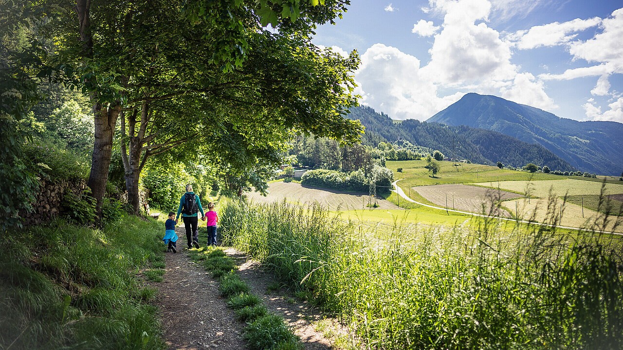 Sentiero delle api a Trens
