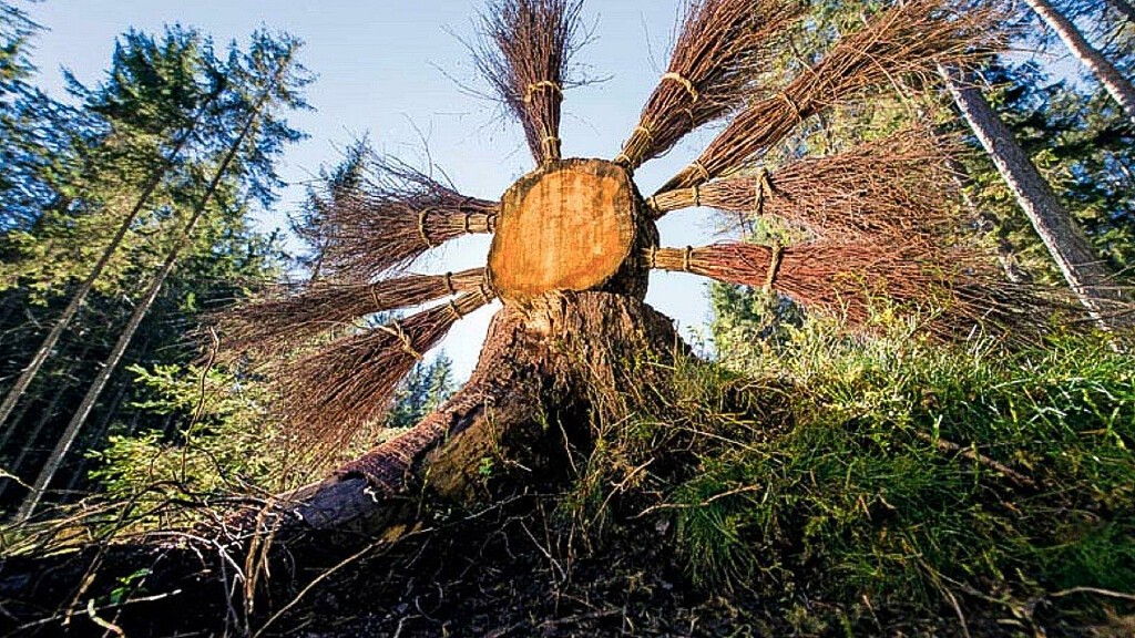 Sentiero "LandArt" a Falzes