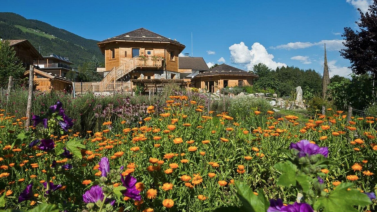 Escursione cultural-paesaggistica