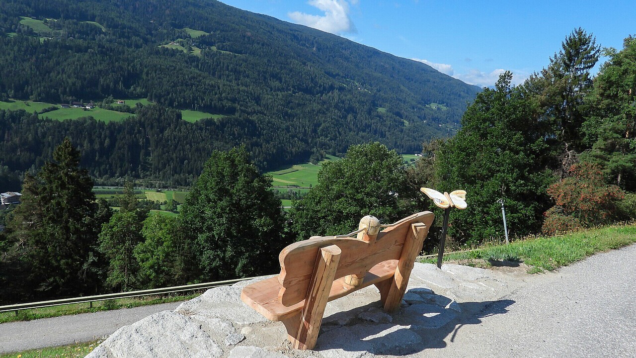 Il sentiero delle farfalle a San Sigismondo