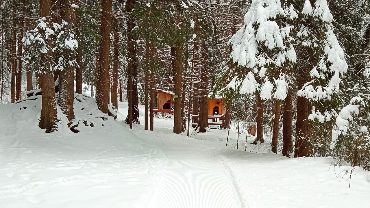 Escursione invernale - Valdaora di Sopra