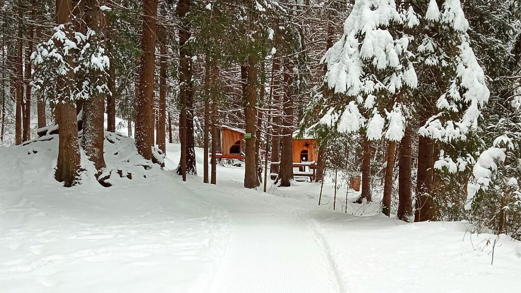 Escursione invernale - Valdaora di Sopra
