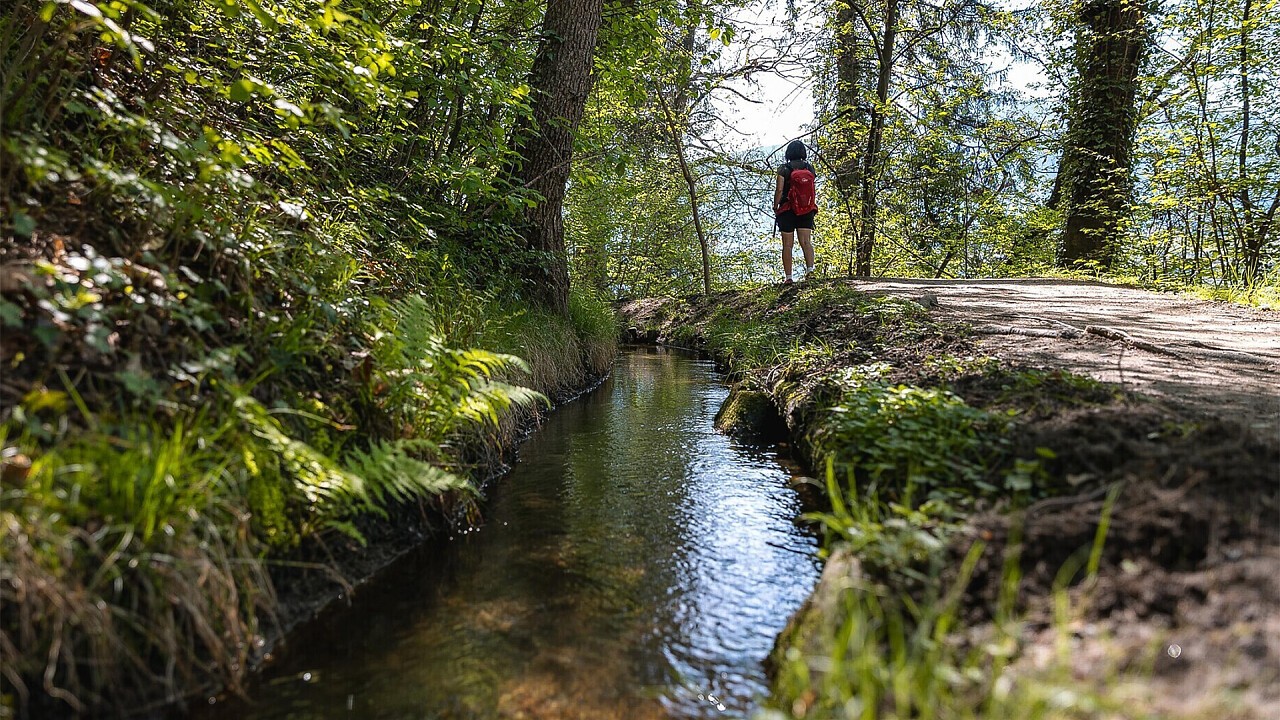 Circular hike along the Maia irrigation channel - Waalweg