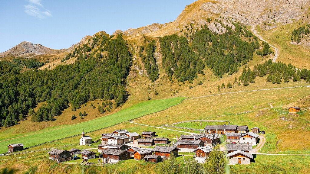 Milk Trail: from Valles to Malga Fane