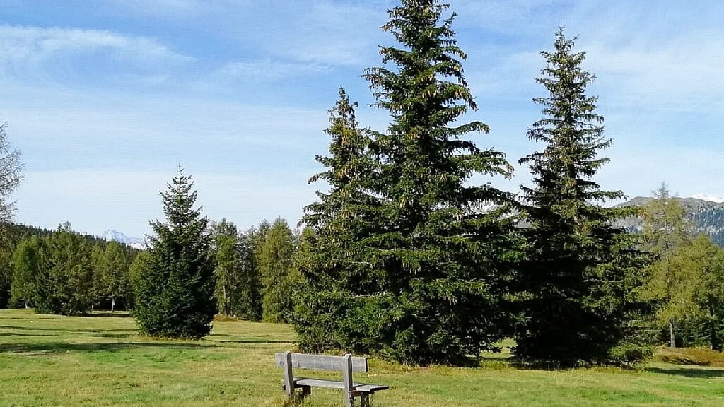 Panoramic Walk on Monte Piatto