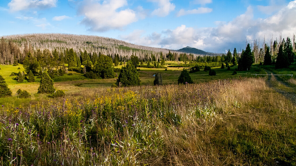 Gita ai masi di Luson