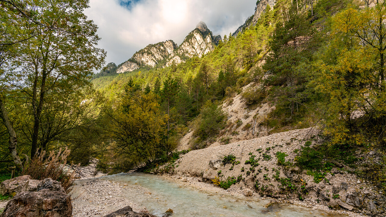 fiume_natura_tires_dreamstime_ina_hensel