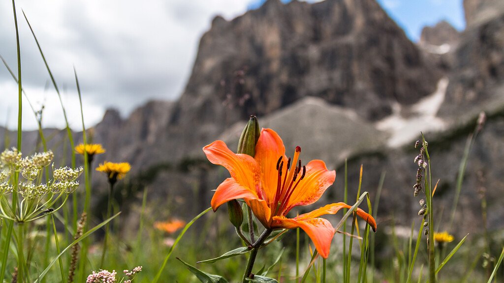 Dolomiti UNESCO entra nella rete dei Siti UNESCO italiani