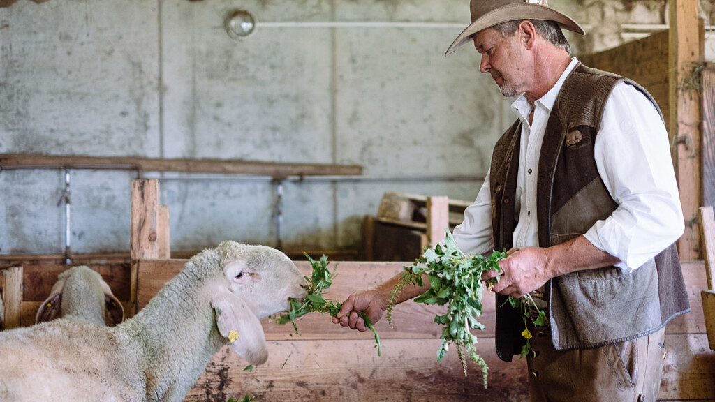 Naturhotel Miraval: dove la sostenibilità è una scelta quotidiana