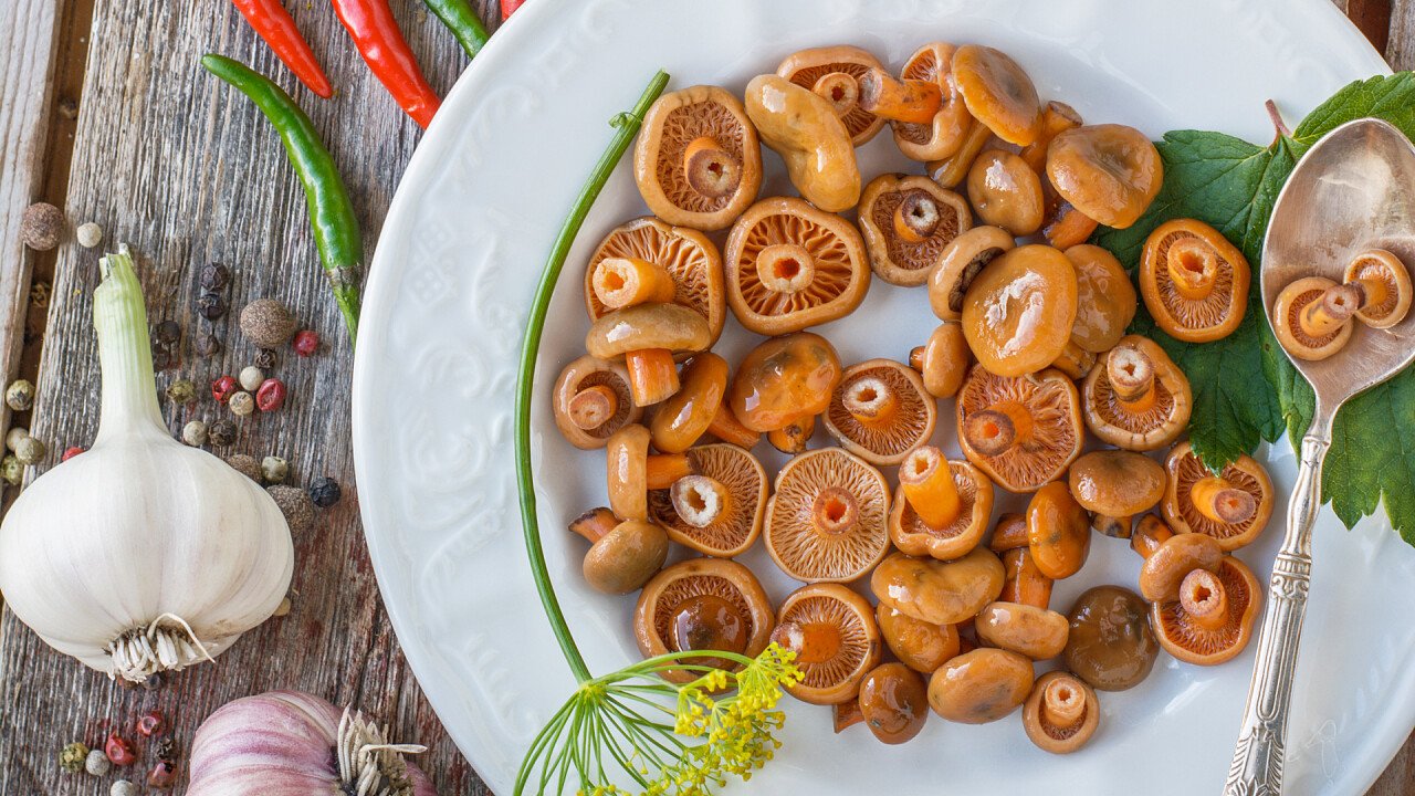 lattari_deliziosi_a_ghiotta_02_shutterstock