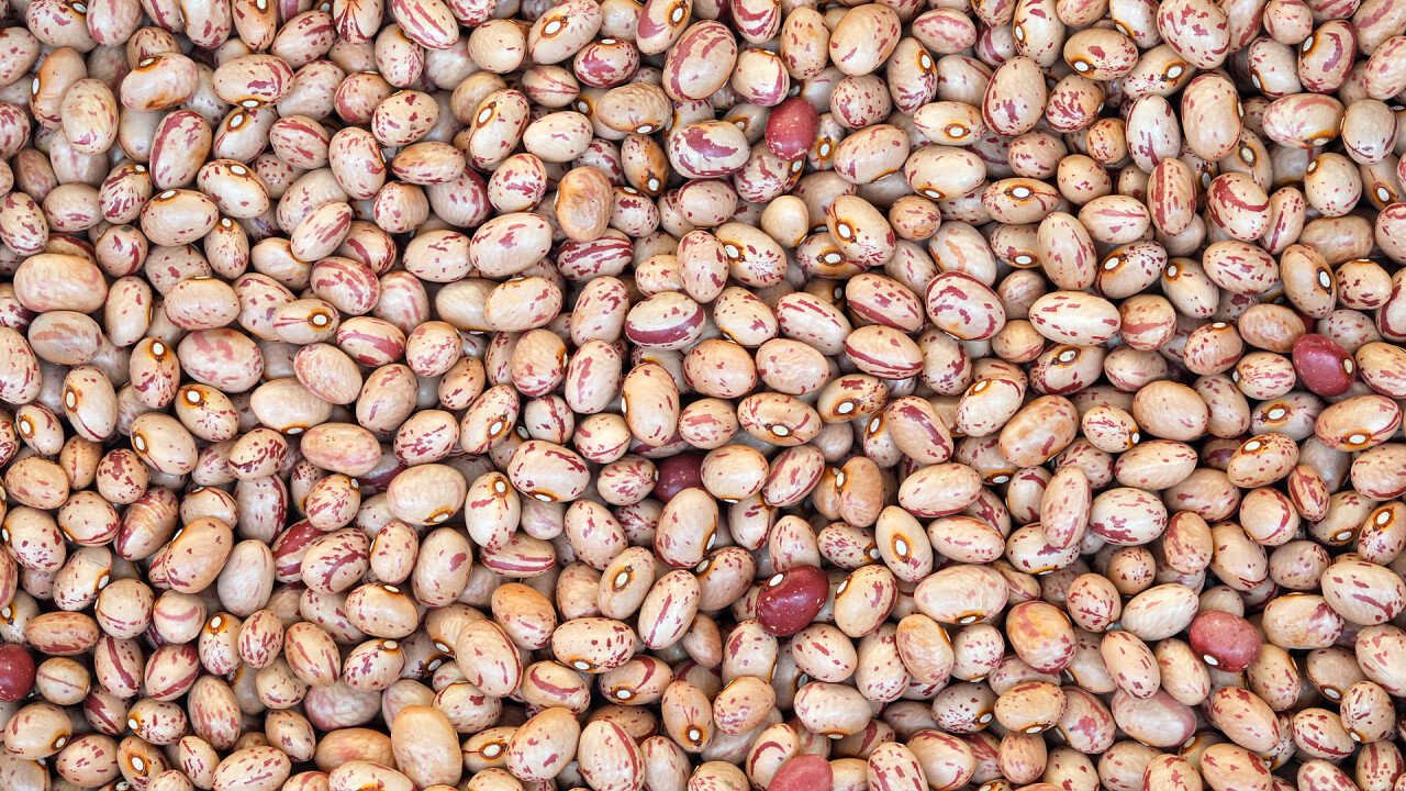 pendolon_dreamstime_Fedecandoniphoto