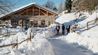 Malga Cislon