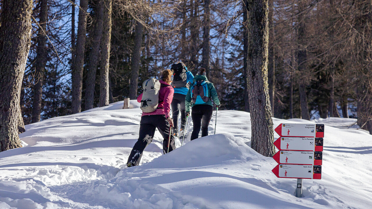 Schneeschuh-Wanderungen
