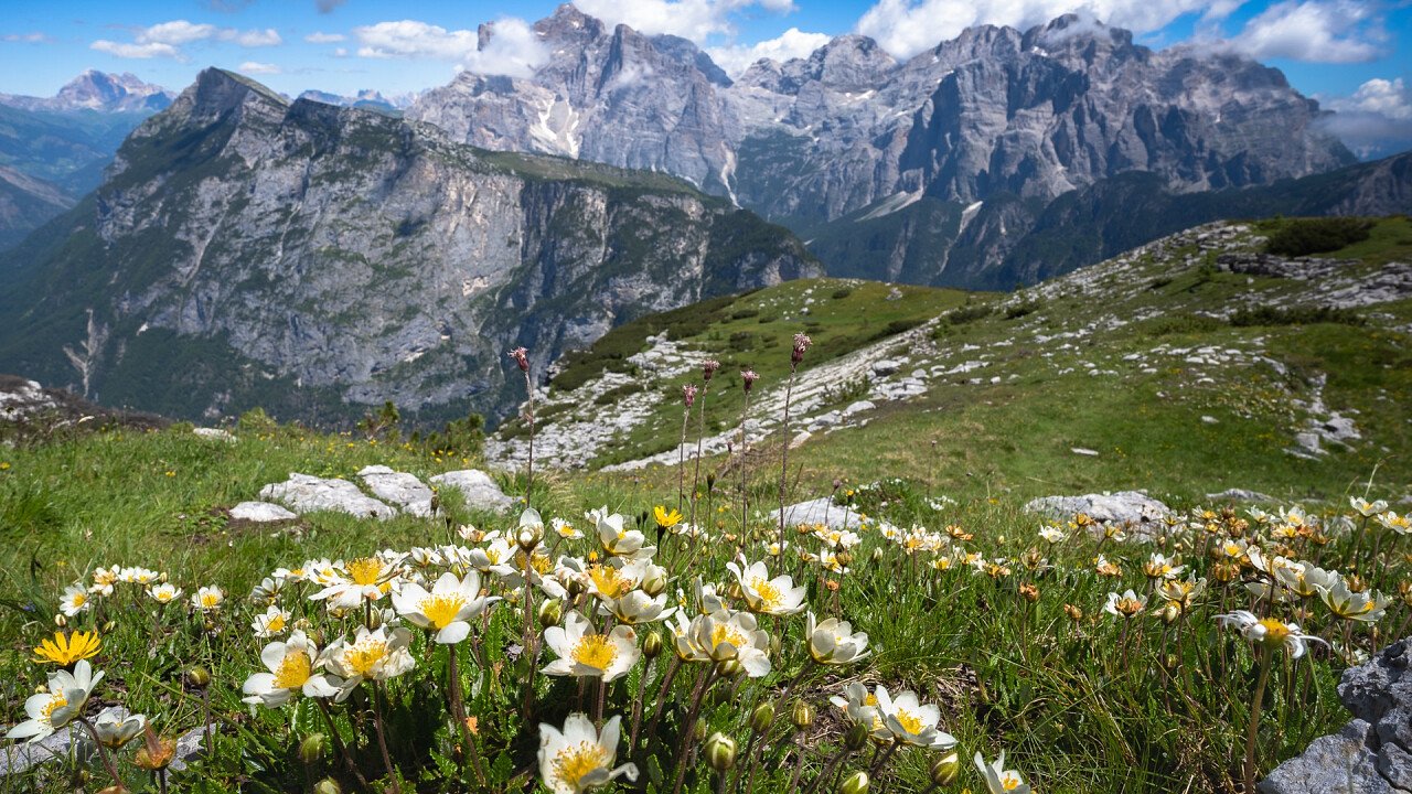 Urlaub in Agordo: Wandern und Klettern auf den Bergen ...