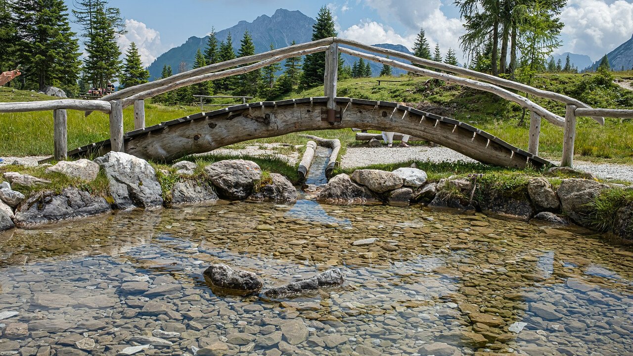 sorgenti_fiume_piave_sappada_estate_dreamstime_david_taljat