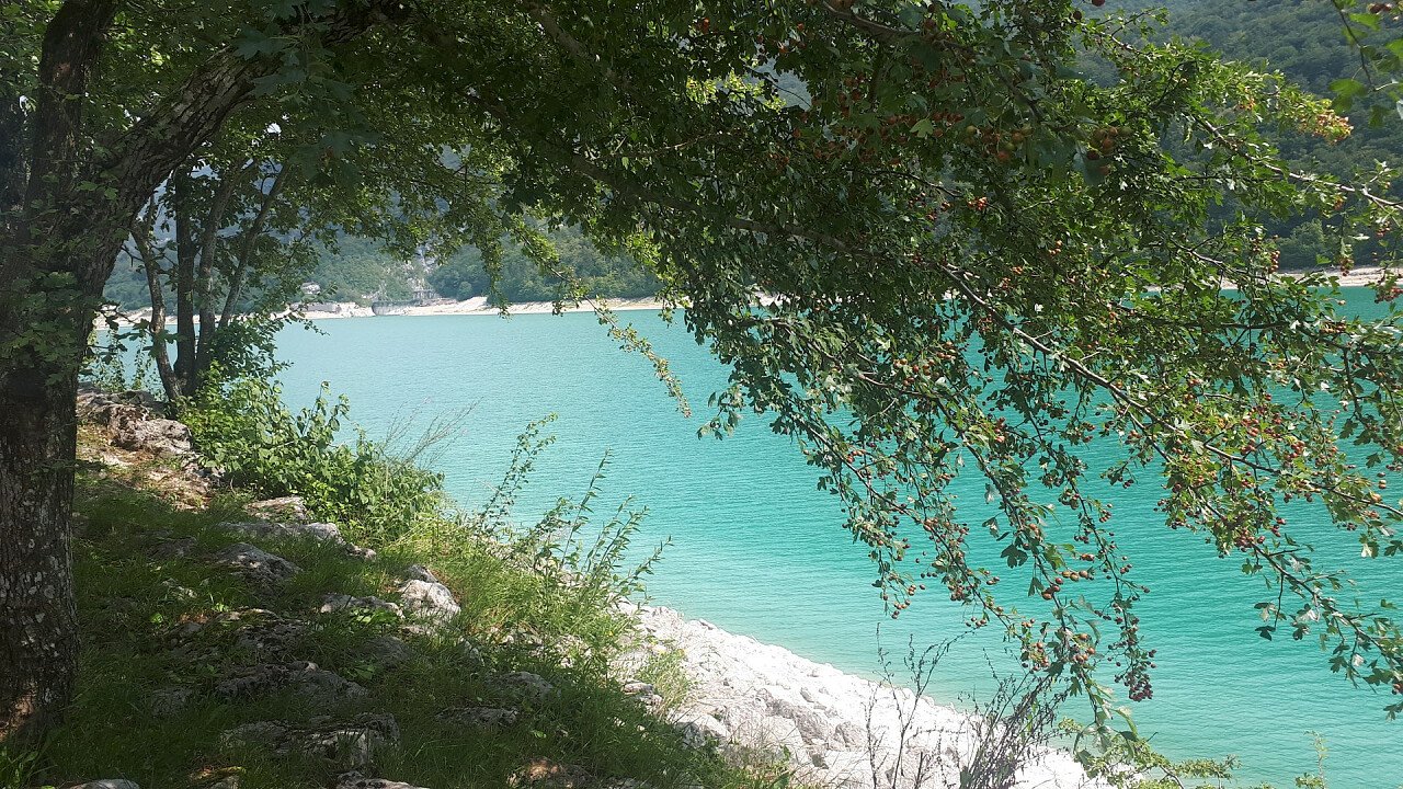 albero_lago_barcis_angela_pierdona