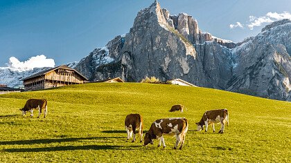 strada verso la chiesa di san valentino in autunno siusi - Shutterstock