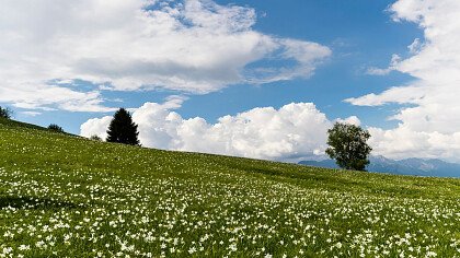 Landschaft_Lentiai_shutterstock