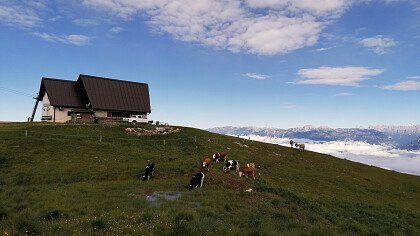 Nevegal-Rücken-Trekking - Shutterstock