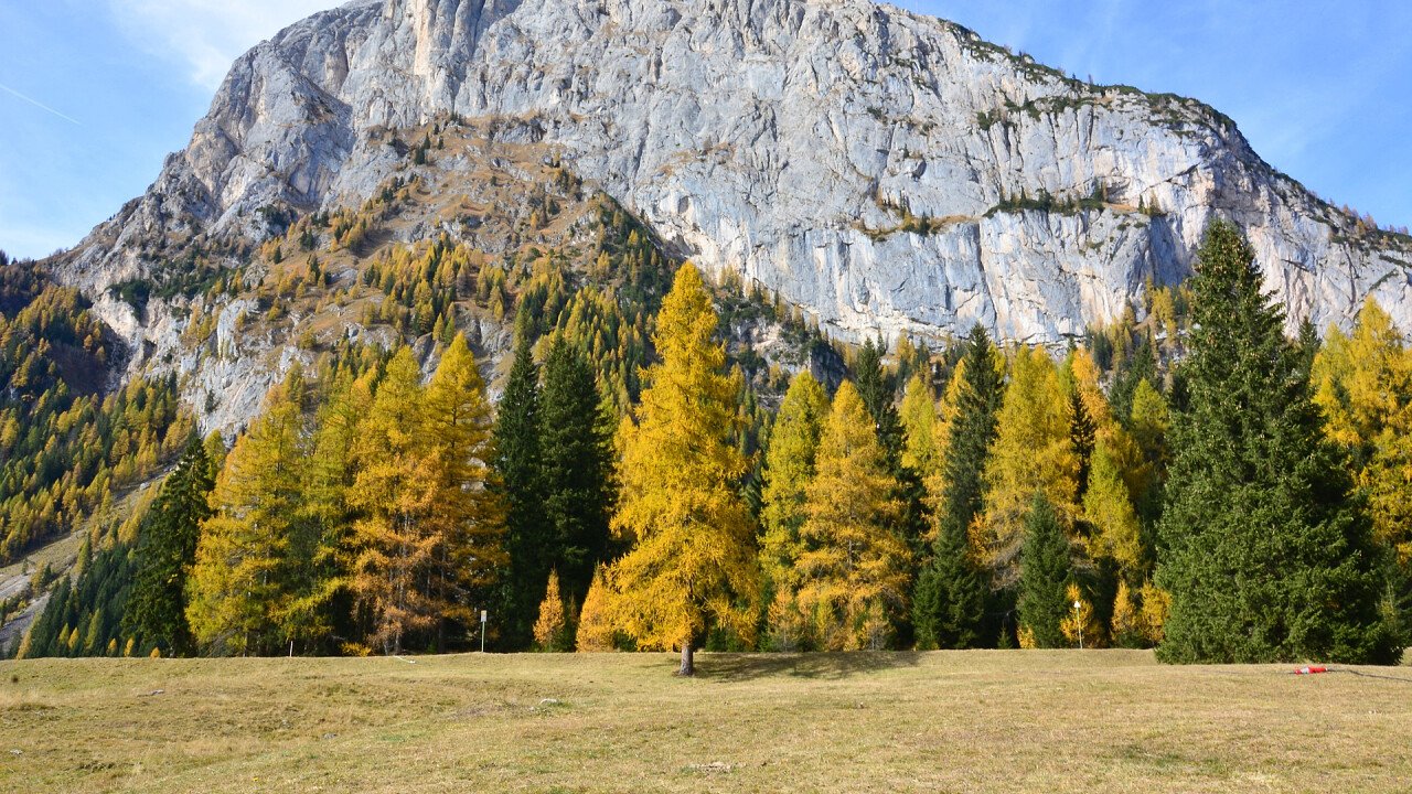 malga_ciapela_autumn_dreamstime_corradobarattaphotos