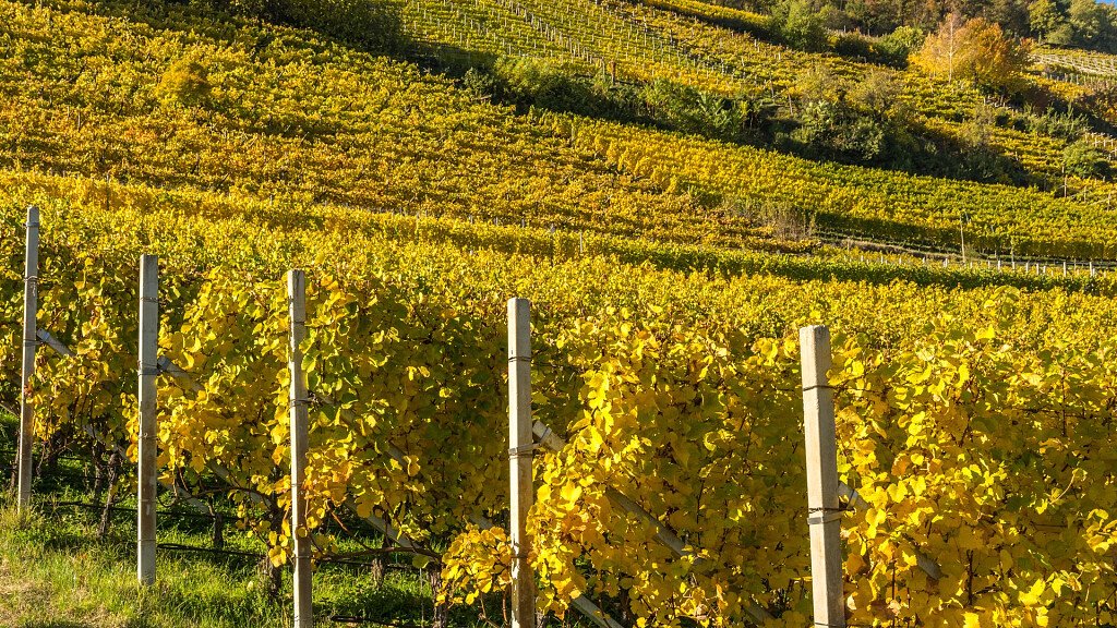 Vacanze a Bronzolo a Bolzano e dintorni tra enogastronomia e Lago di Caldaro