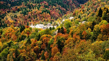 autumn_town_gosaldo_iStock