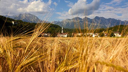 Wiesen von Puos d'Alpago - Shutterstock