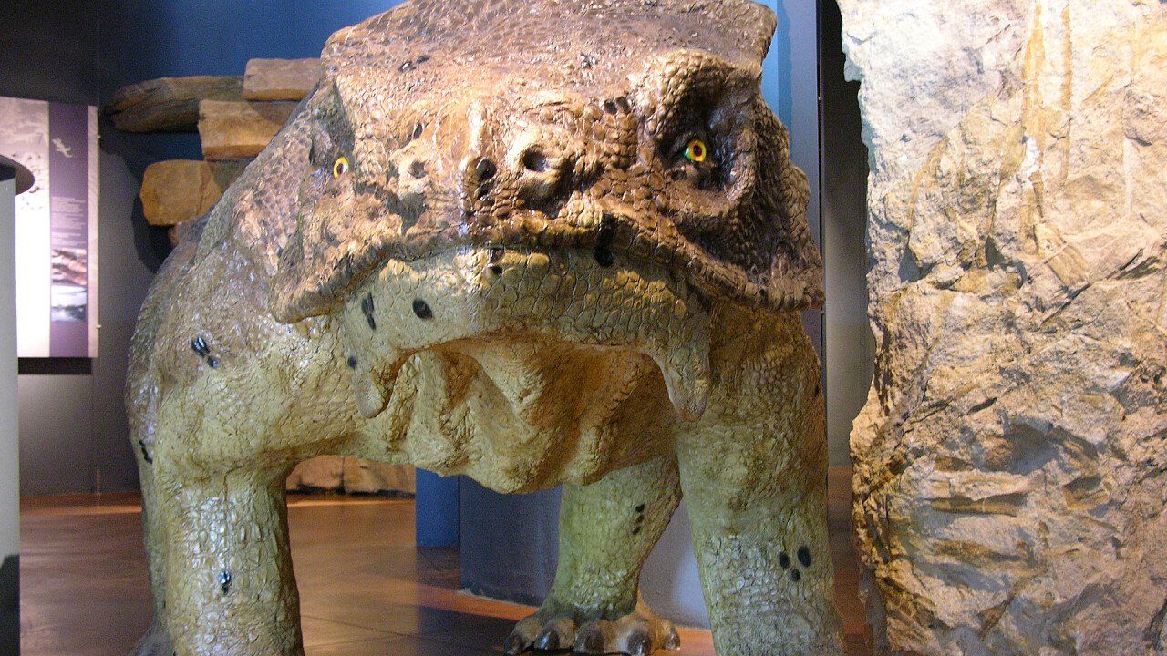 pareiasauro_centro_visitatori_aldino_geoparc_bletterbach