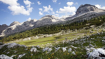 Inverno piste da sci Folgarida-Dimaro