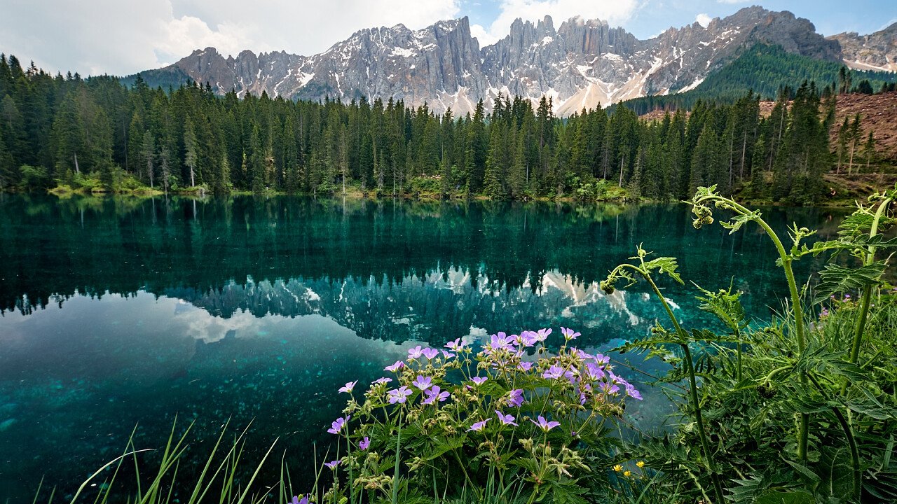 Fiori Lago Carezza