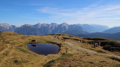 Wasserfall_pissandolo_comelico_superiore_angela_pierdona