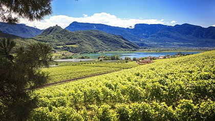 Sonnenuntergang über den Weinbergen a Kaltern an der Weinstraße