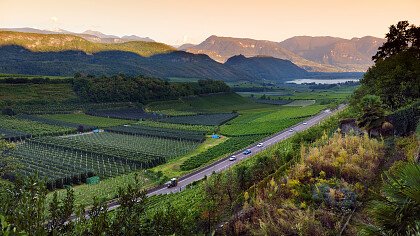 Sunset over the vineyards a Caldaro