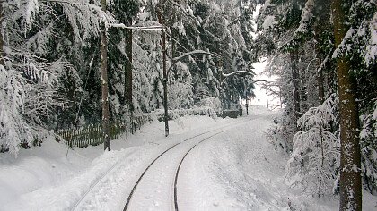 Route of the Renon train in winter