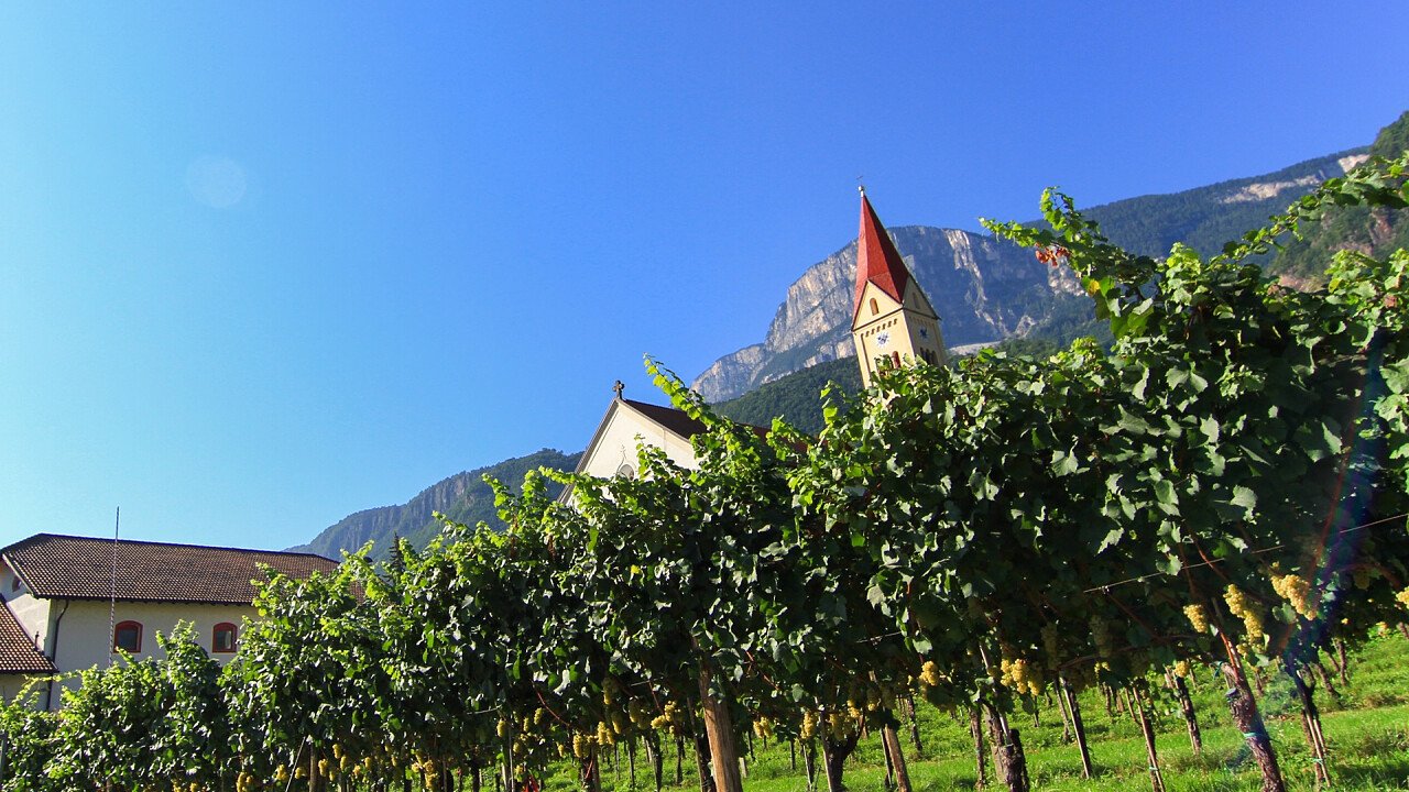 vigneti_andriano_azienda_di_soggiorno_e_turismo_bolzano_luca_guadagnini