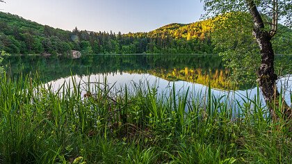 prati_verdi_di_appiano_shutterstock