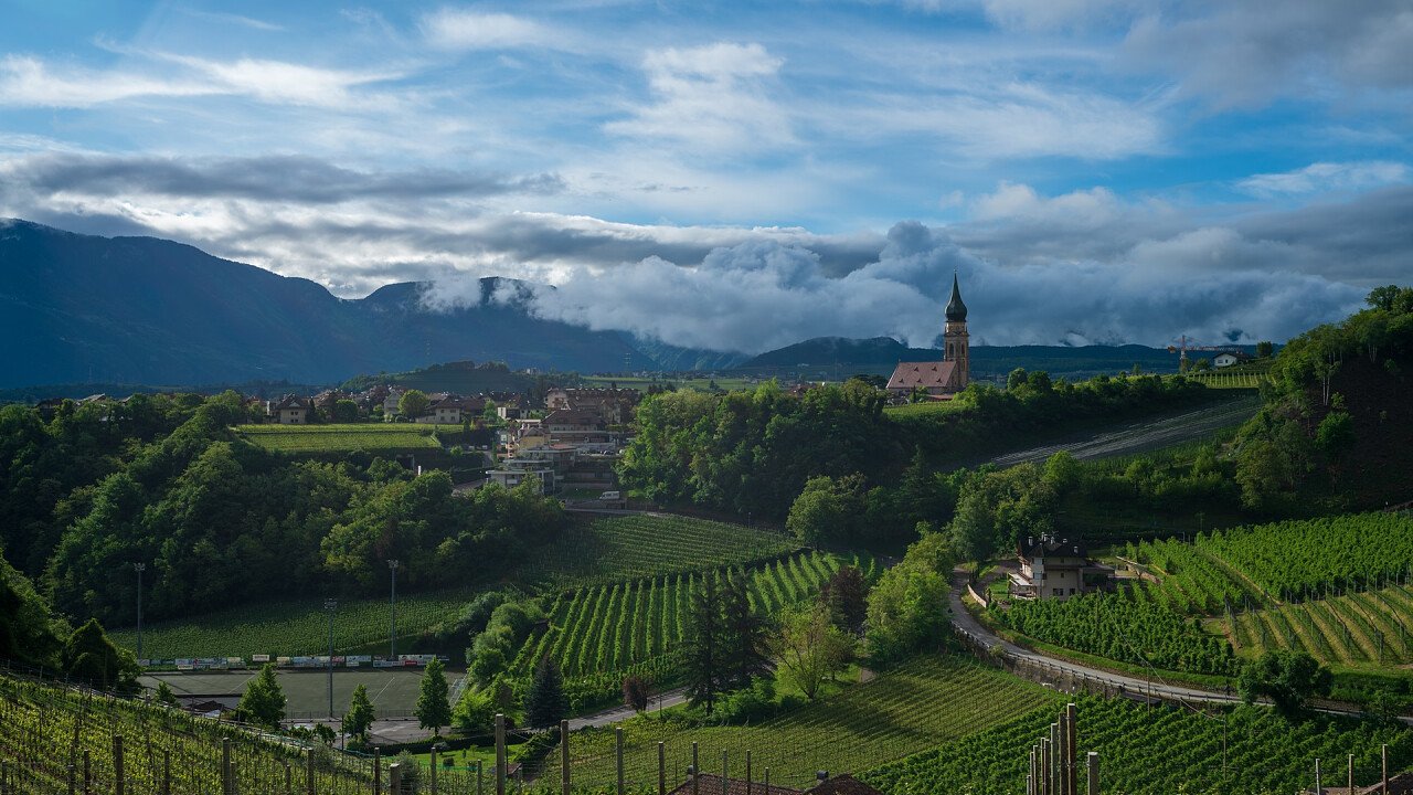 panorama_vigneti_appiano_shutterstock