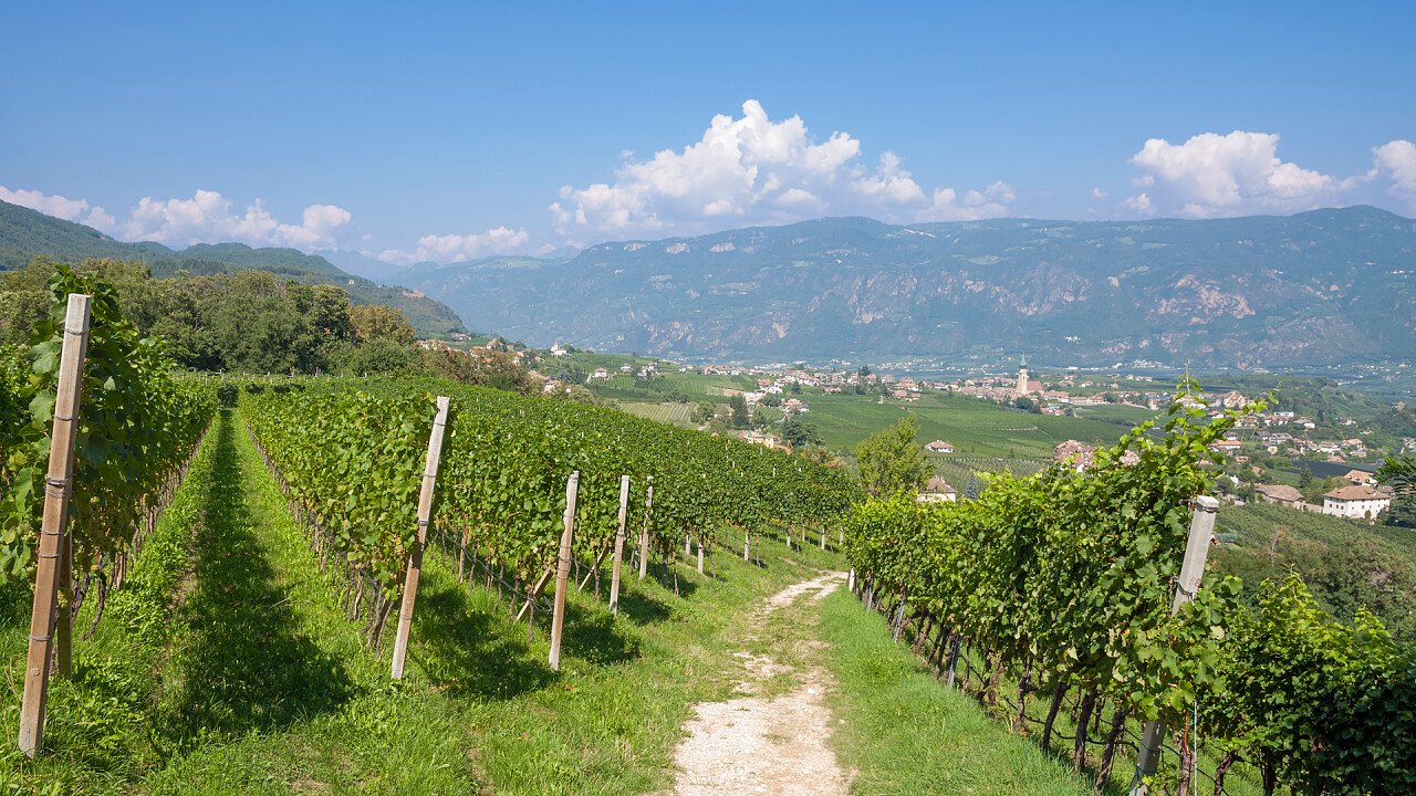 Appiano holidays among wines, castles and lakes