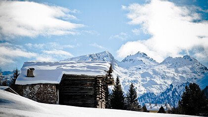 sciare_a_bellamonte_di_predazzo_shutterstock