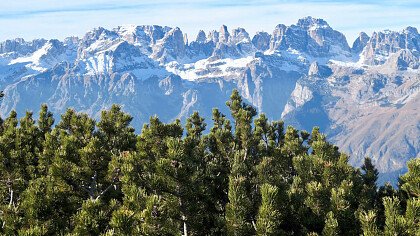 estate_san_lorenzo_dorsino_shutterstock